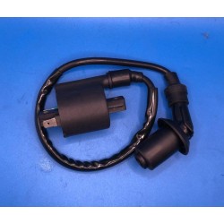 BOBINA ALTA YAMAHA XMAX 125